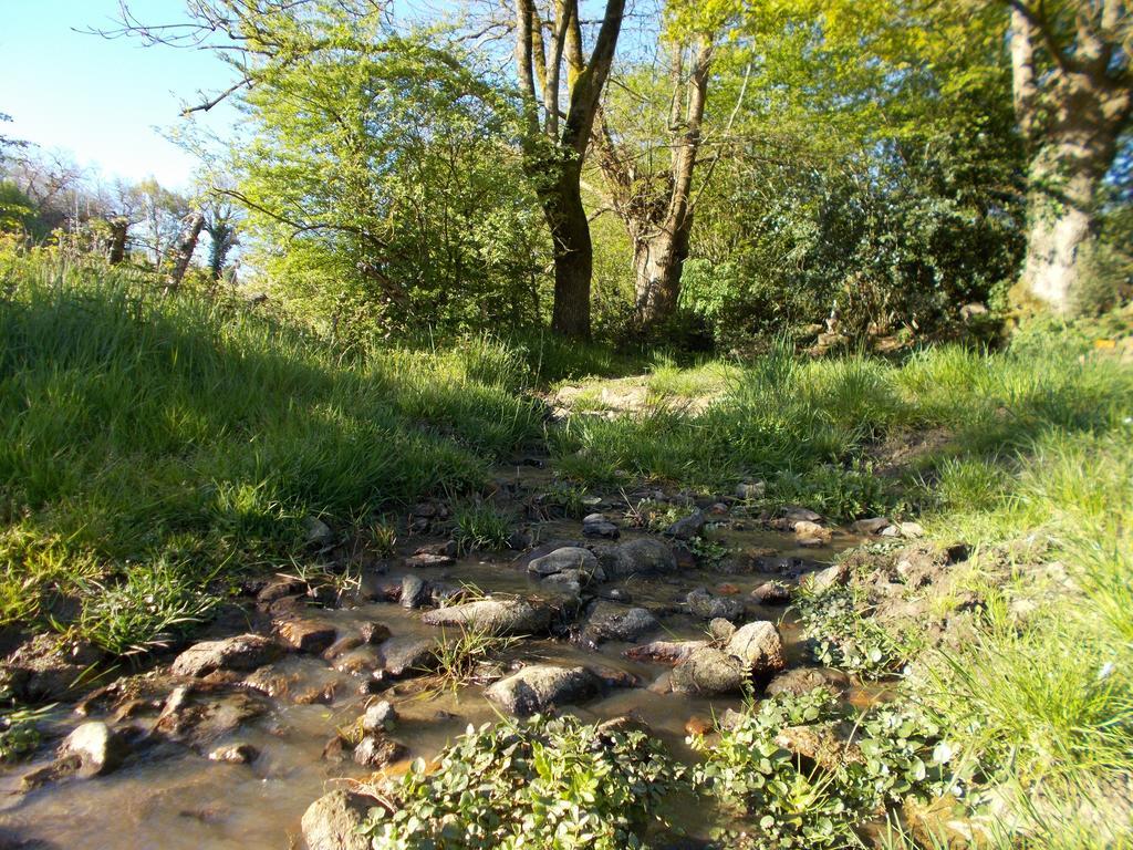 Terre Et Eau Gite Sevremont La Flocellière Екстериор снимка